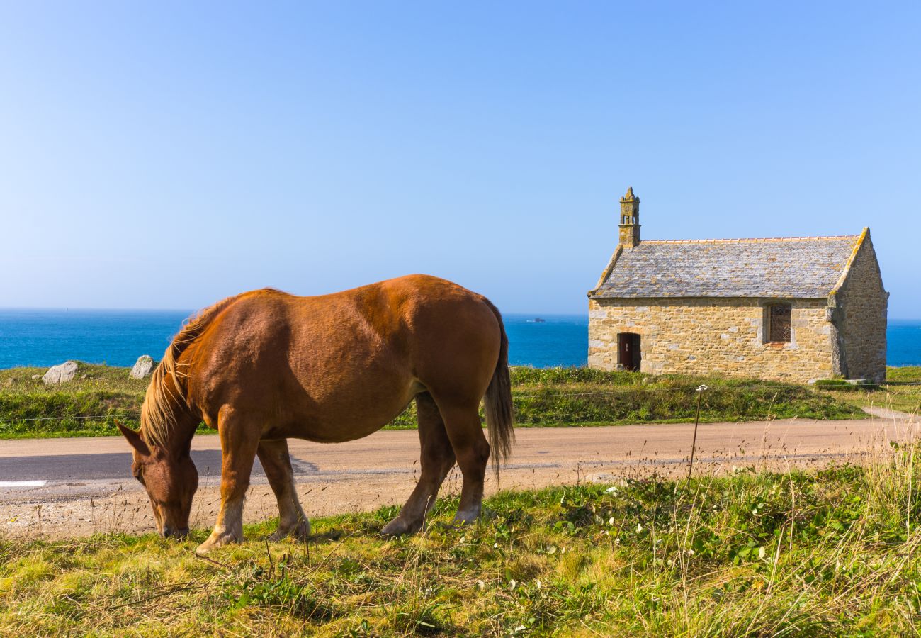 Maison à Ploudalmézeau - TY DUNES - Maison bretonne magnifique vue mer