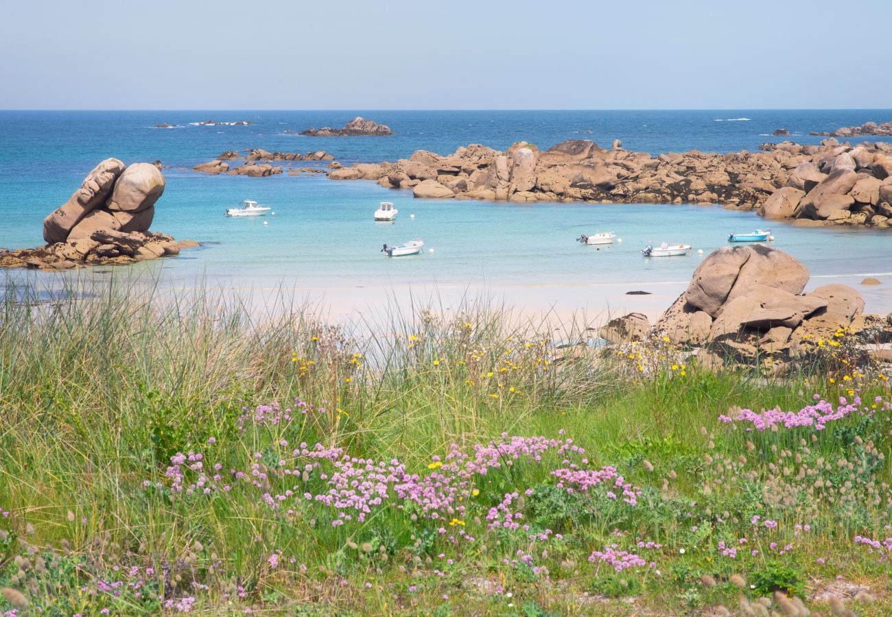 Maison à Lanildut - KER LAN - Maison de caractère avec SPA et vue mer